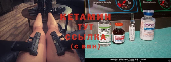 амф Новозыбков