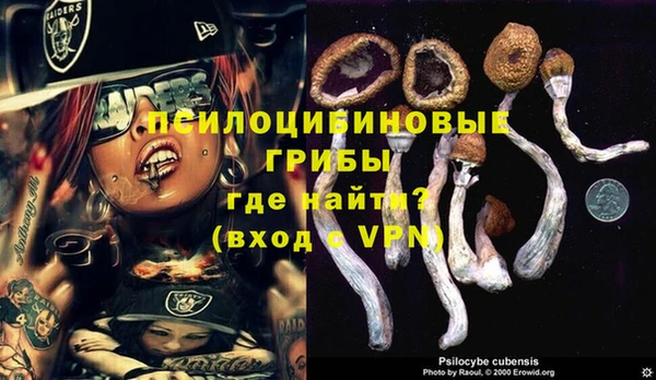 амф Новозыбков