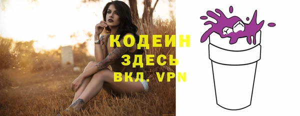 амф Новозыбков