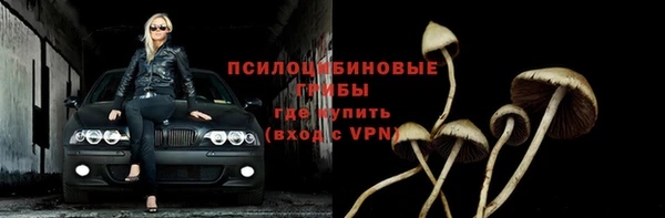 прущая мука Няндома