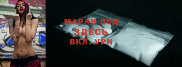 шишки Гусев