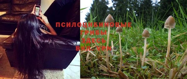 прущая мука Няндома