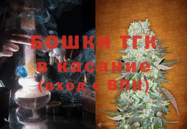 амф Новозыбков