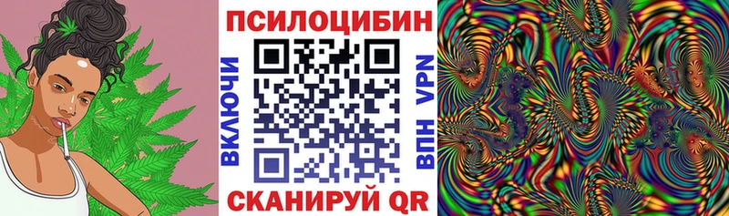 Галлюциногенные грибы прущие грибы  Приозерск 